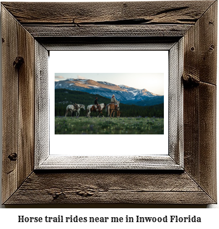 horse trail rides near me in Inwood, Florida